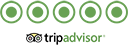 trip-advisor-attraction-review