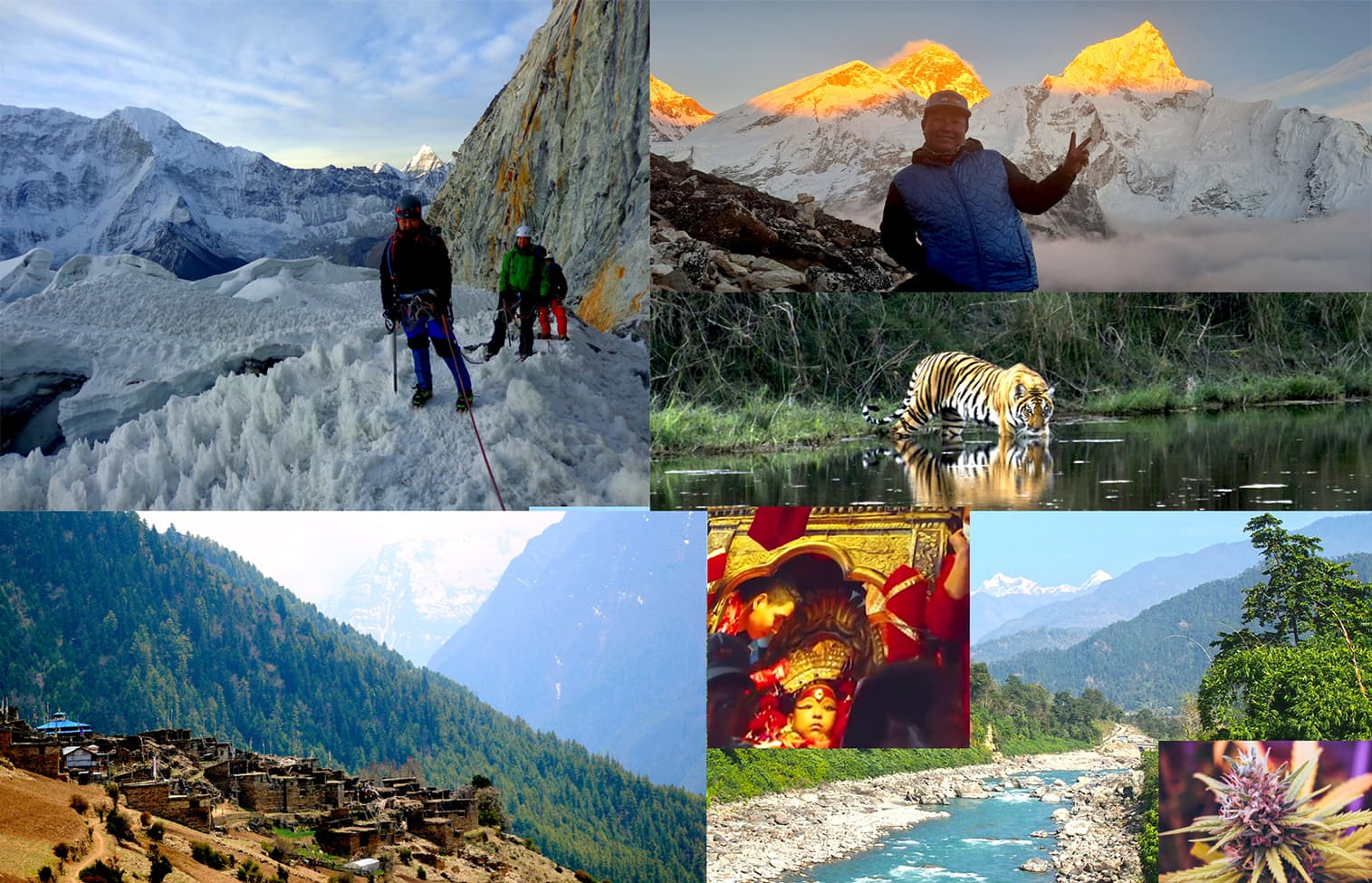 blog-banner-best-things